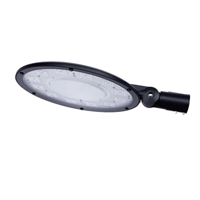 100W Led Garden Light